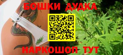 mdpv Можга